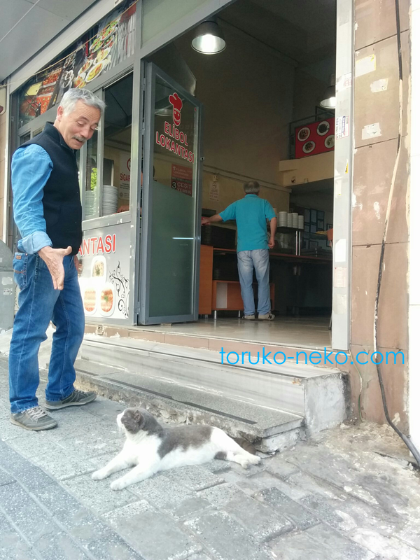 トルコ 猫歩き ネコ 画像 猫カフェじゃないけどレストランの手前で居座ってみんなに構ってもらうのをまっている灰色のねこの写真