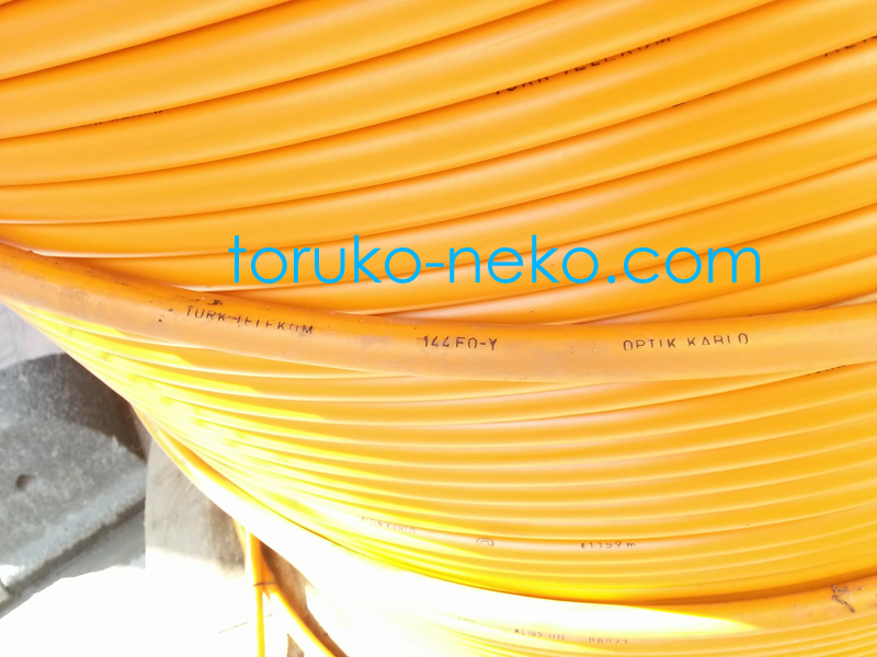 インターネットの光ファイバーケーブルの写真 オレンジ色 トルコ猫歩き